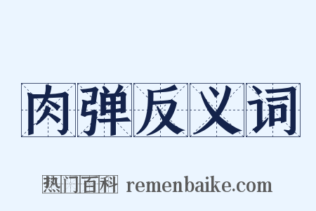 肉弹反义词是什么意思的图片